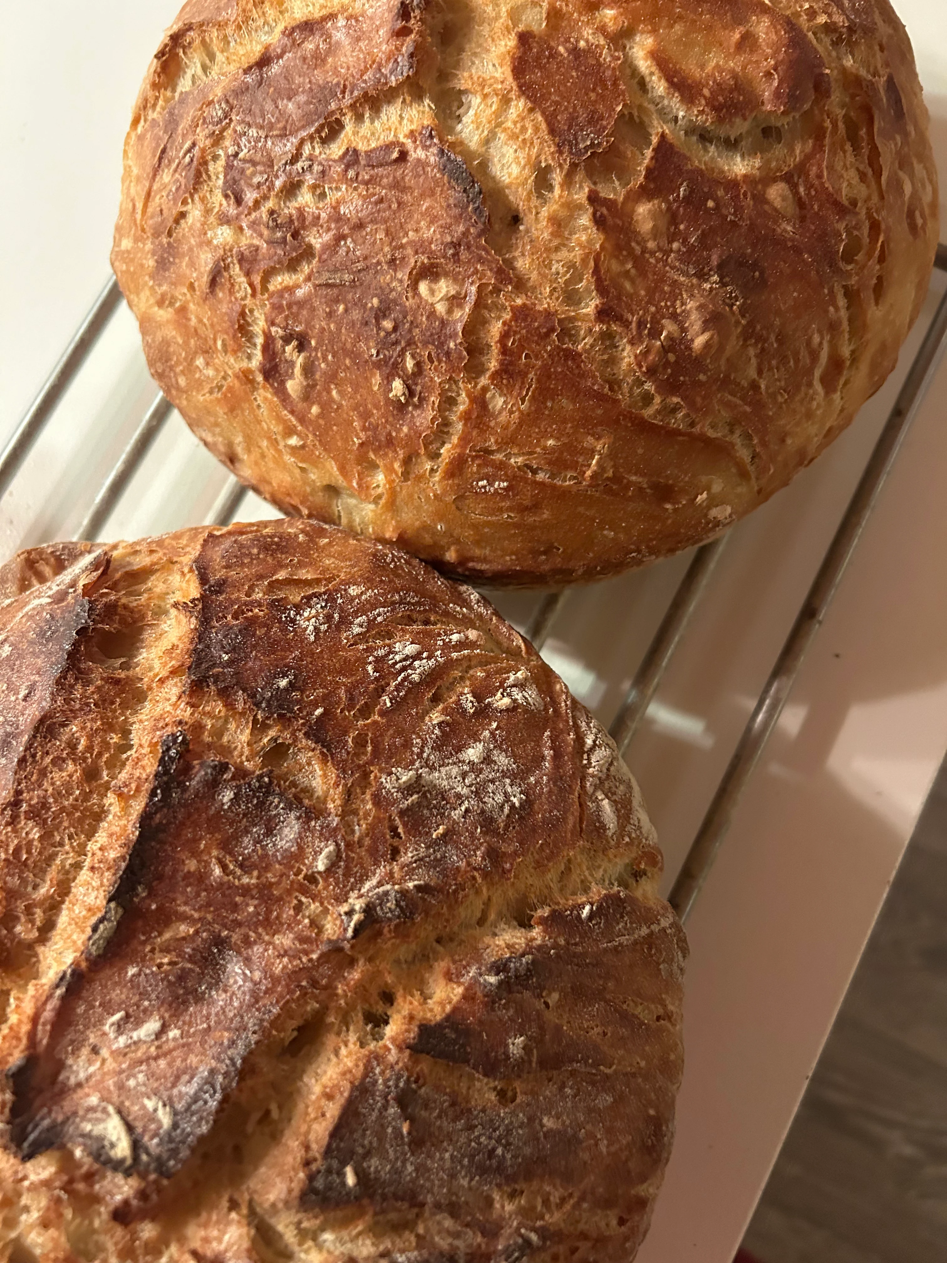 Två vackra gräddade runda bröd